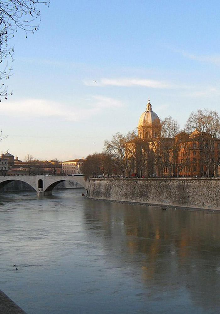 Rome Tours: Book Tours Colosseum and Vatican Guided Tours
