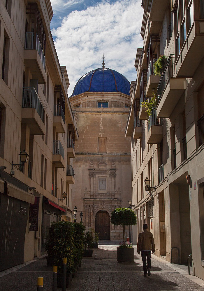 Rome Tours: Book Tours Colosseum and Vatican Guided Tours