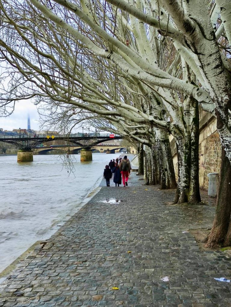 Tiber River Walk & Gelato Stop